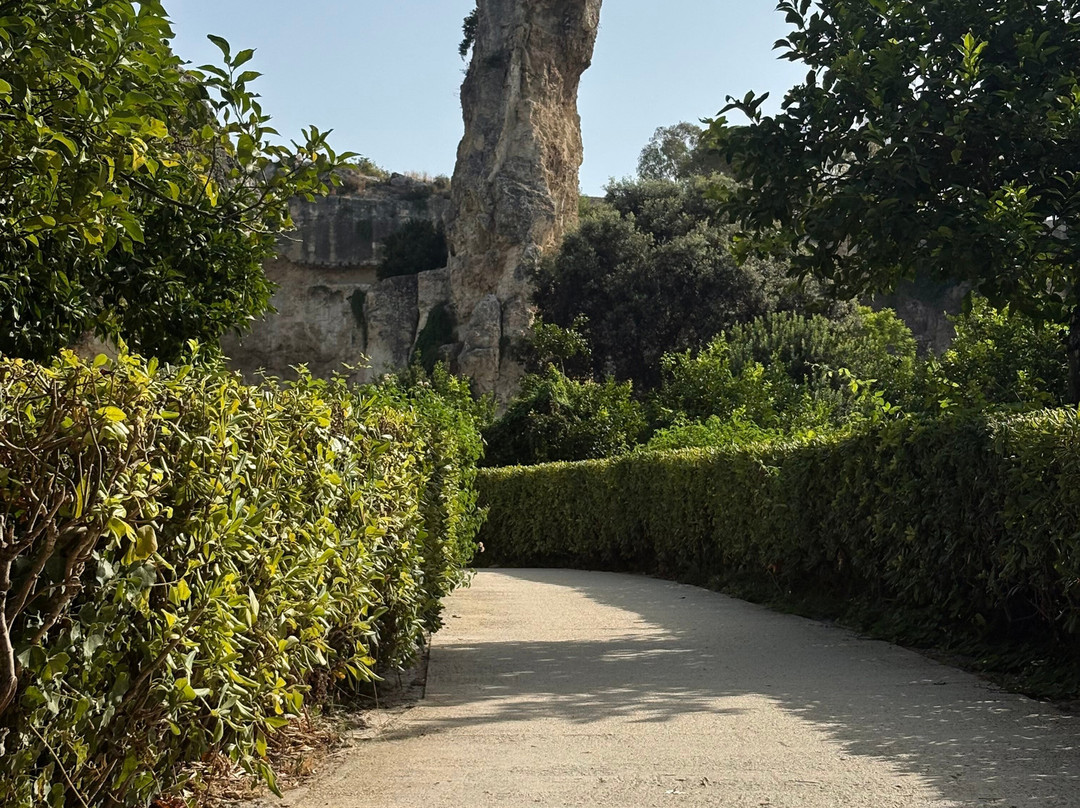 Serena Guida turistica Siracusa-锡拉库扎必去景点