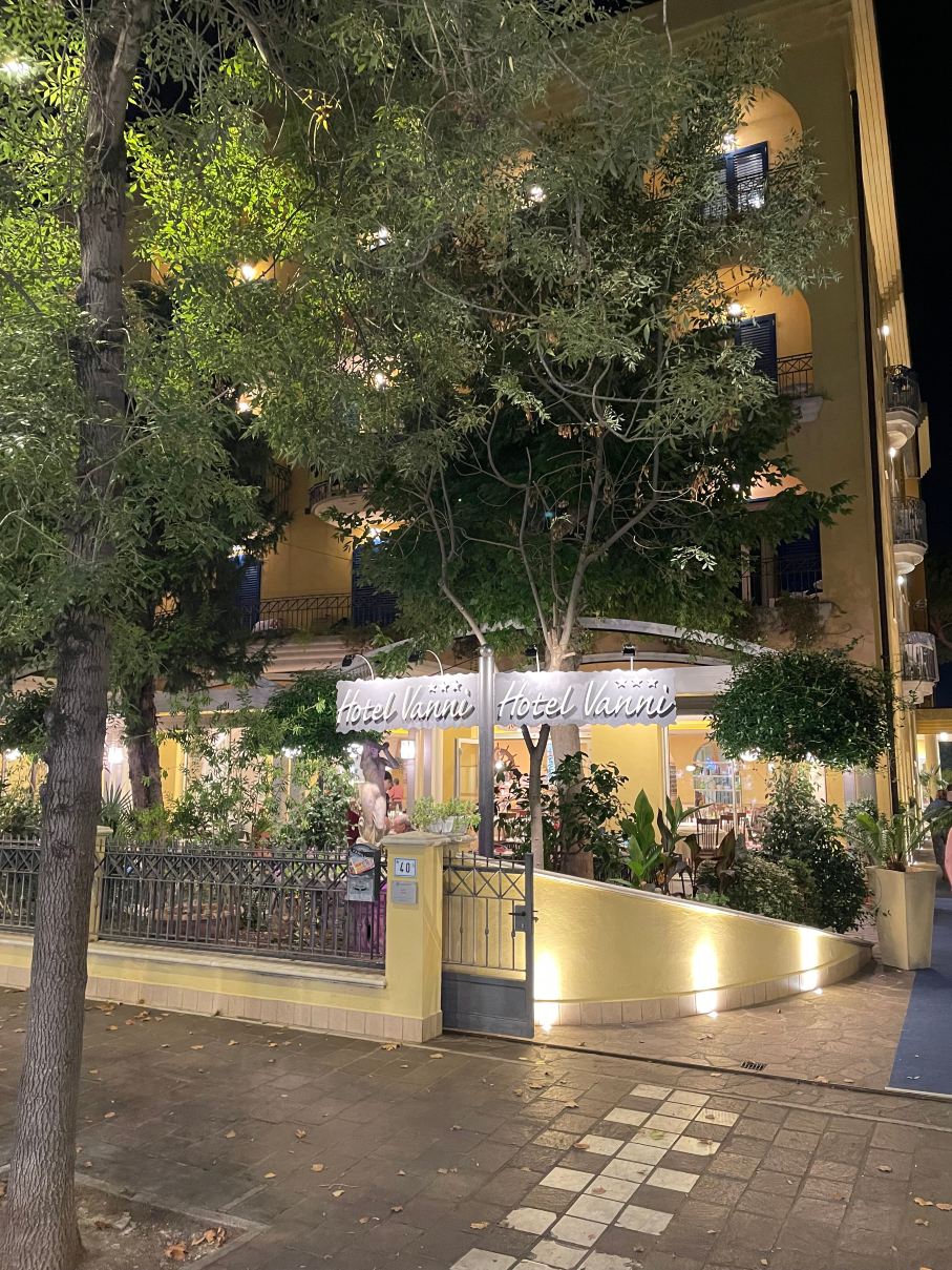 瓦尼酒店-旅行者