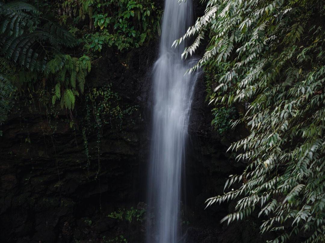 Afu Aau Waterfall-萨瓦伊岛必去景点