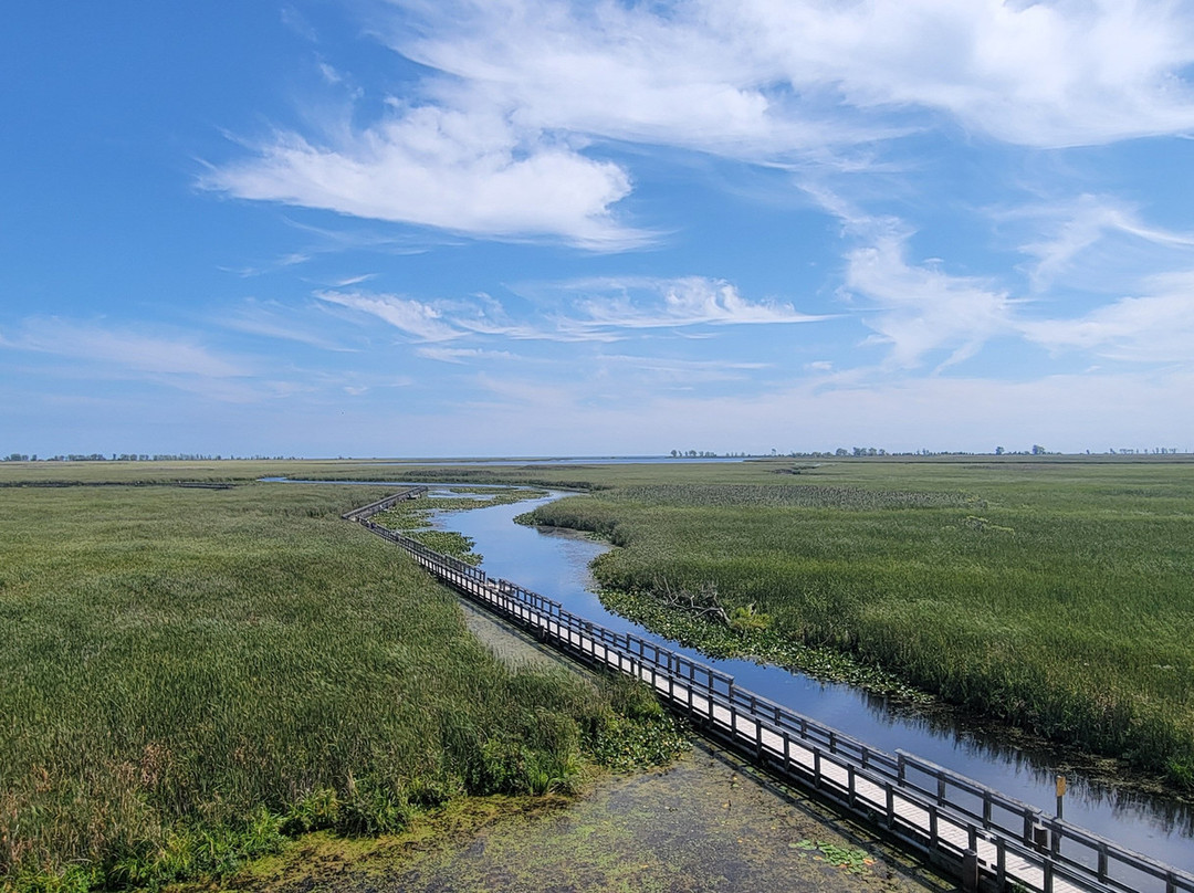 Point Pelee National Park-利明顿必去景点