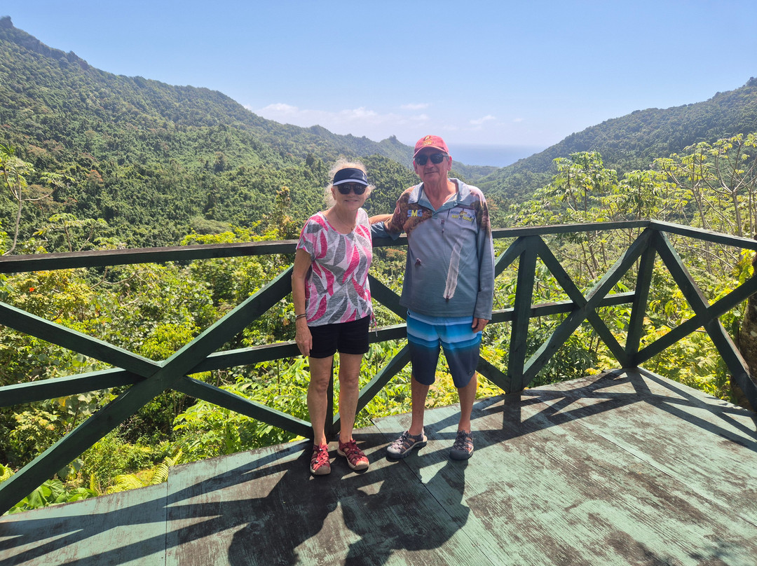 Raro Mountain Safari Tour-拉罗汤加必去景点