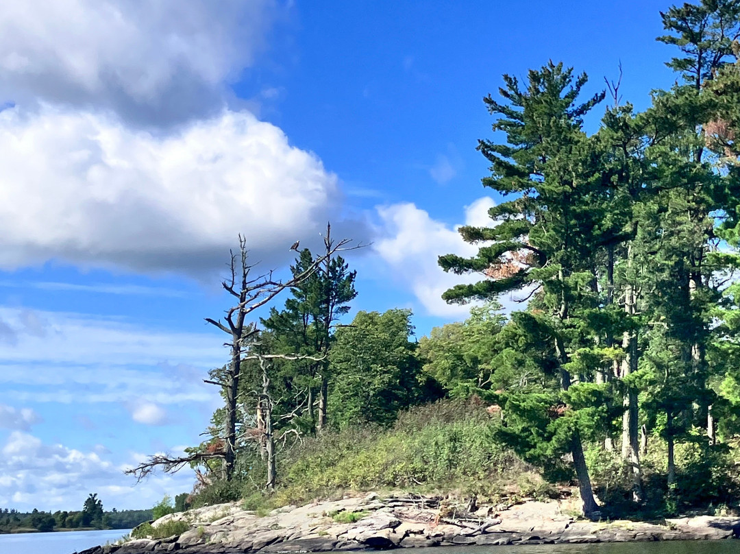 Voyageurs National Park Tours - Border Guide Service-Kabetogama必去景点