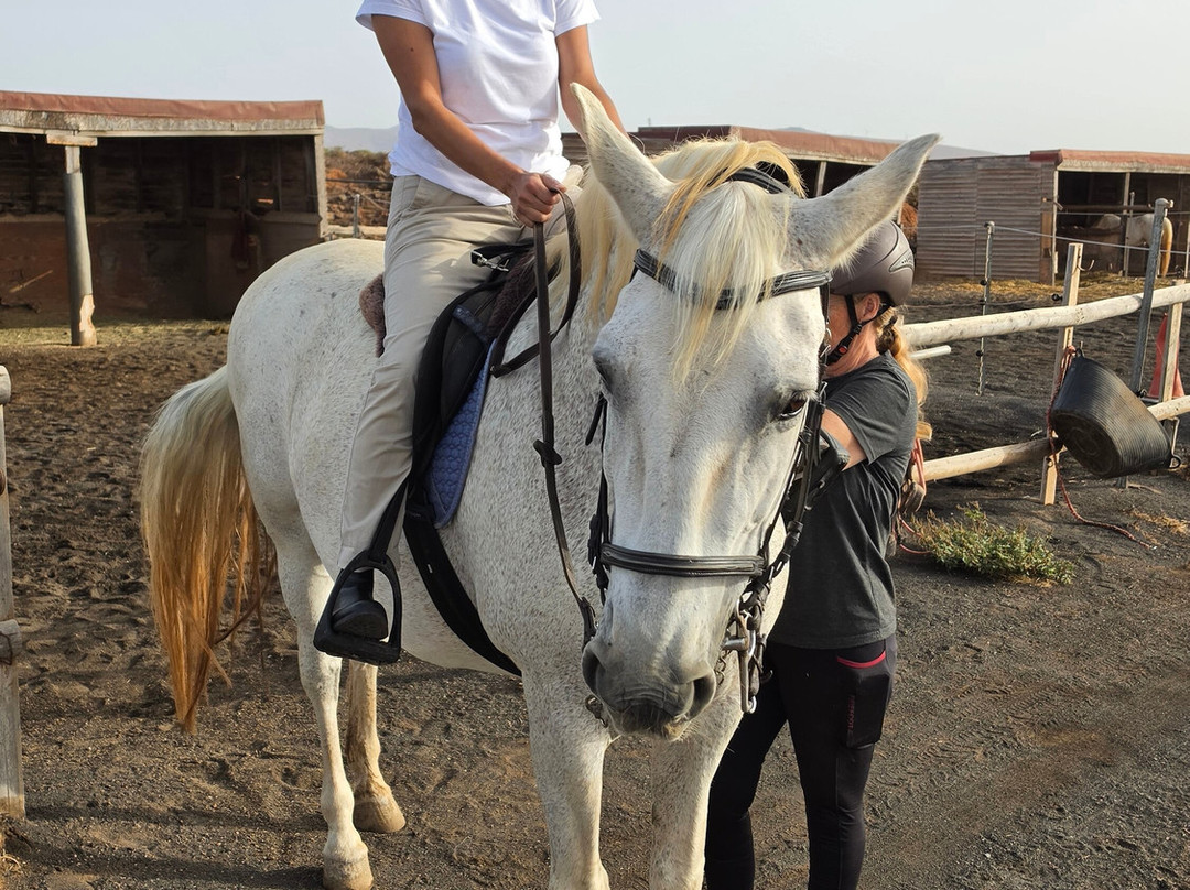 Horses Lanzarote-Teseguite必去景点