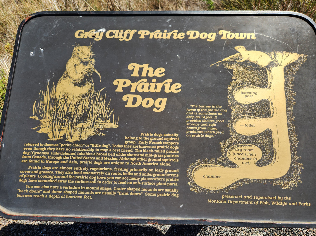 Greycliff Prairie Dog Town State Park-Greycliff必去景点