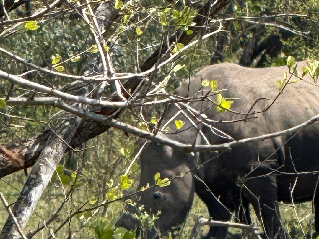 Africa Moja Tours And Safaris-桑顿必去景点