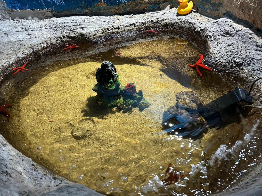 Aquarium Of Faliraki (Aquaworld)-Faliraki必去景点