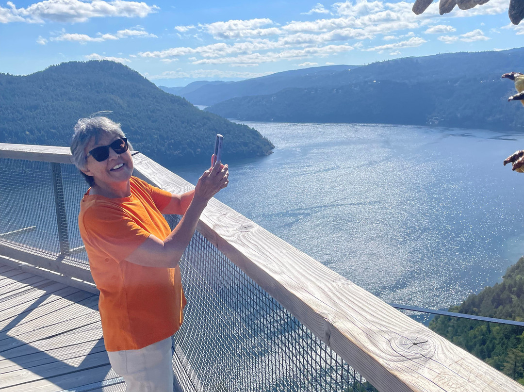 Malahat Skywalk-Malahat必去景点