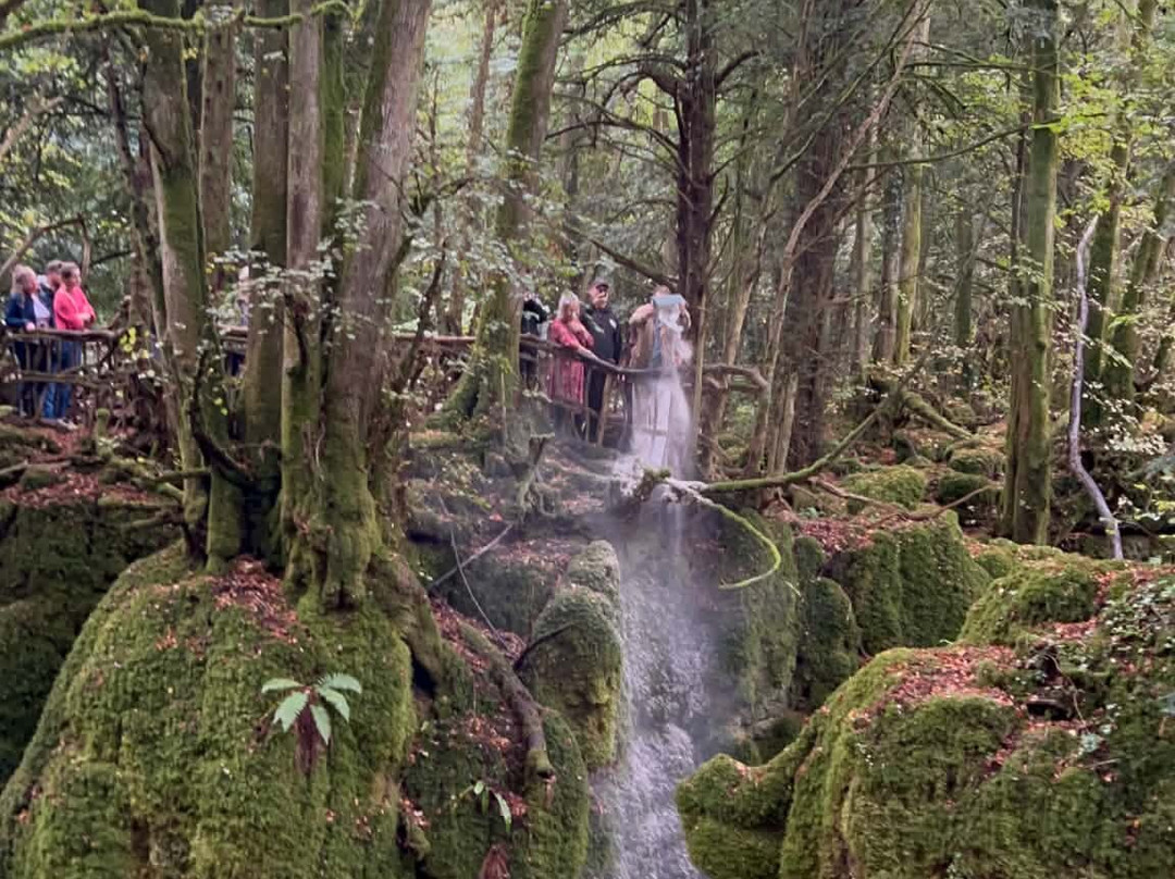 Puzzlewood-Coleford必去景点