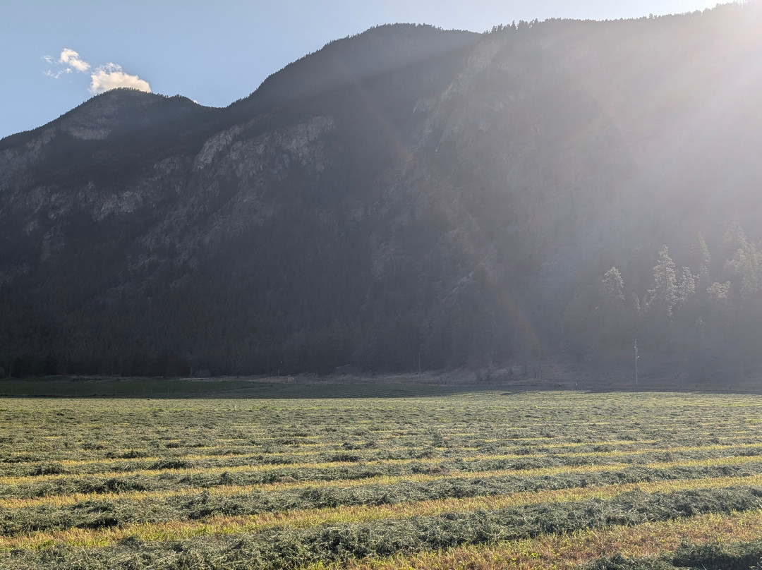 Cliff and Gorge Vineyards-Lillooet必去景点