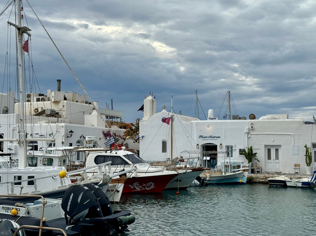 Old Port of Naoussa-纳乌萨必去景点