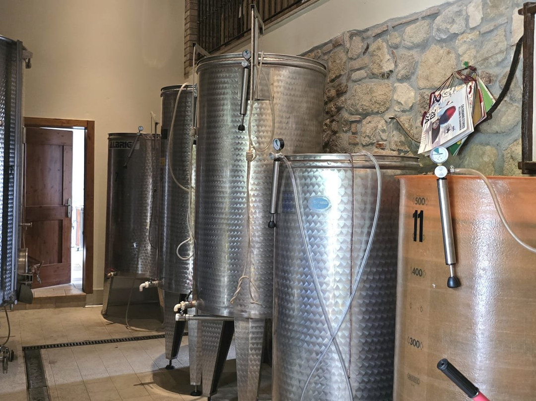 Azienda Agricola Pigafetta Guido e Figli-Rovolon必去景点