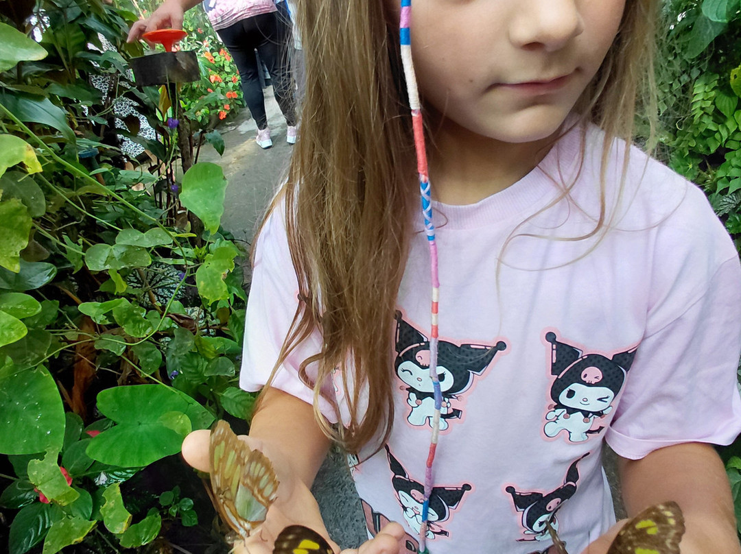 Magic of Life Butterfly House-Cwmbrwyno必去景点