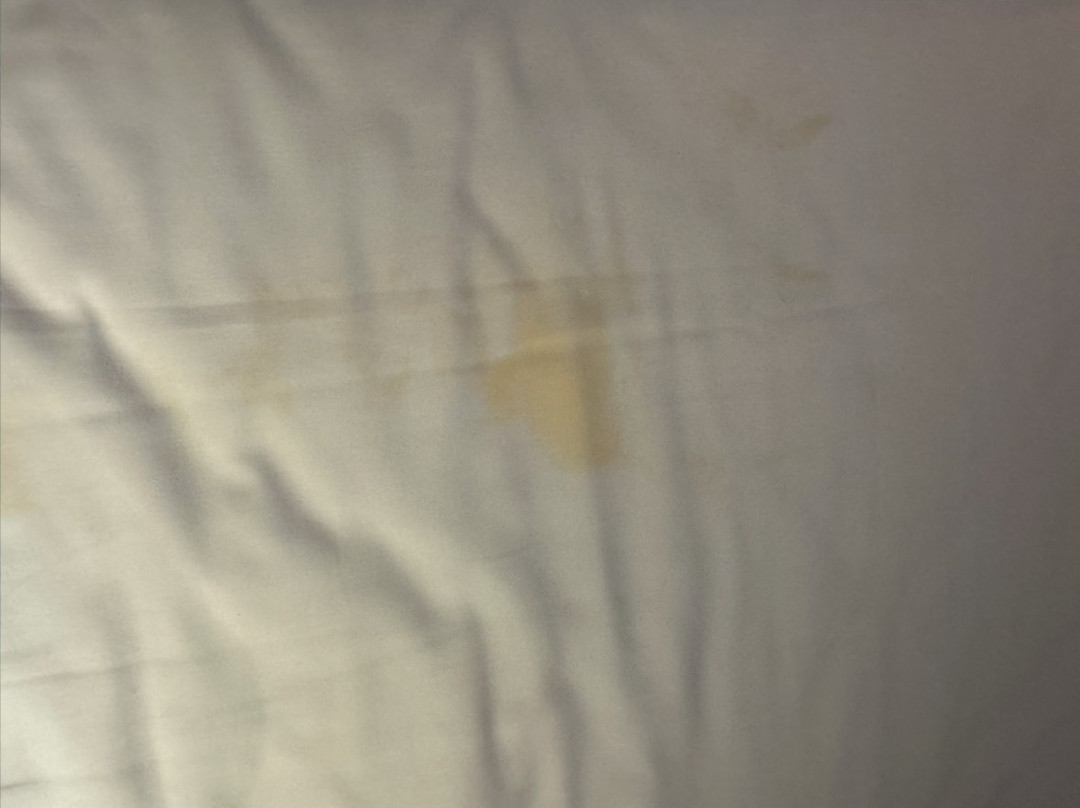 关丹凯悦度假村主图