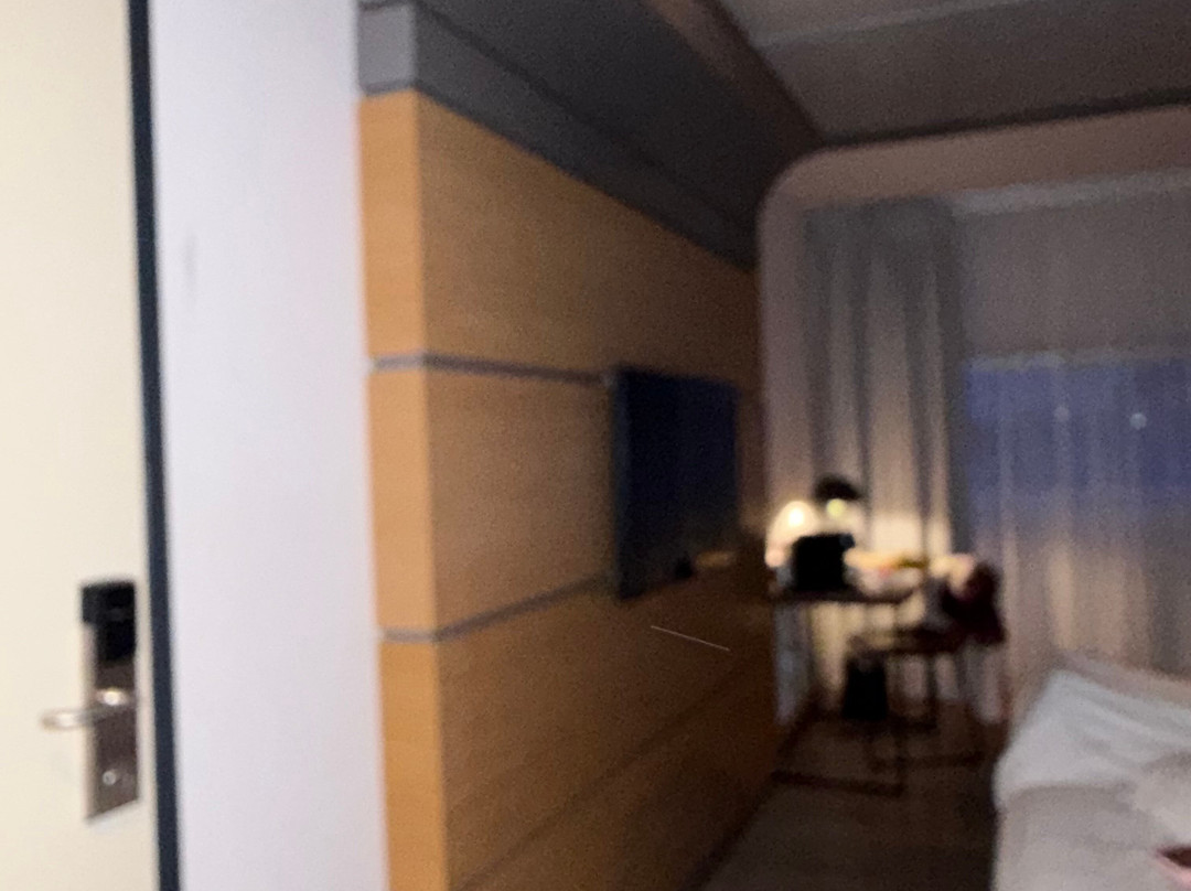 阿尔莫勒市中心莱昂纳多酒店主图