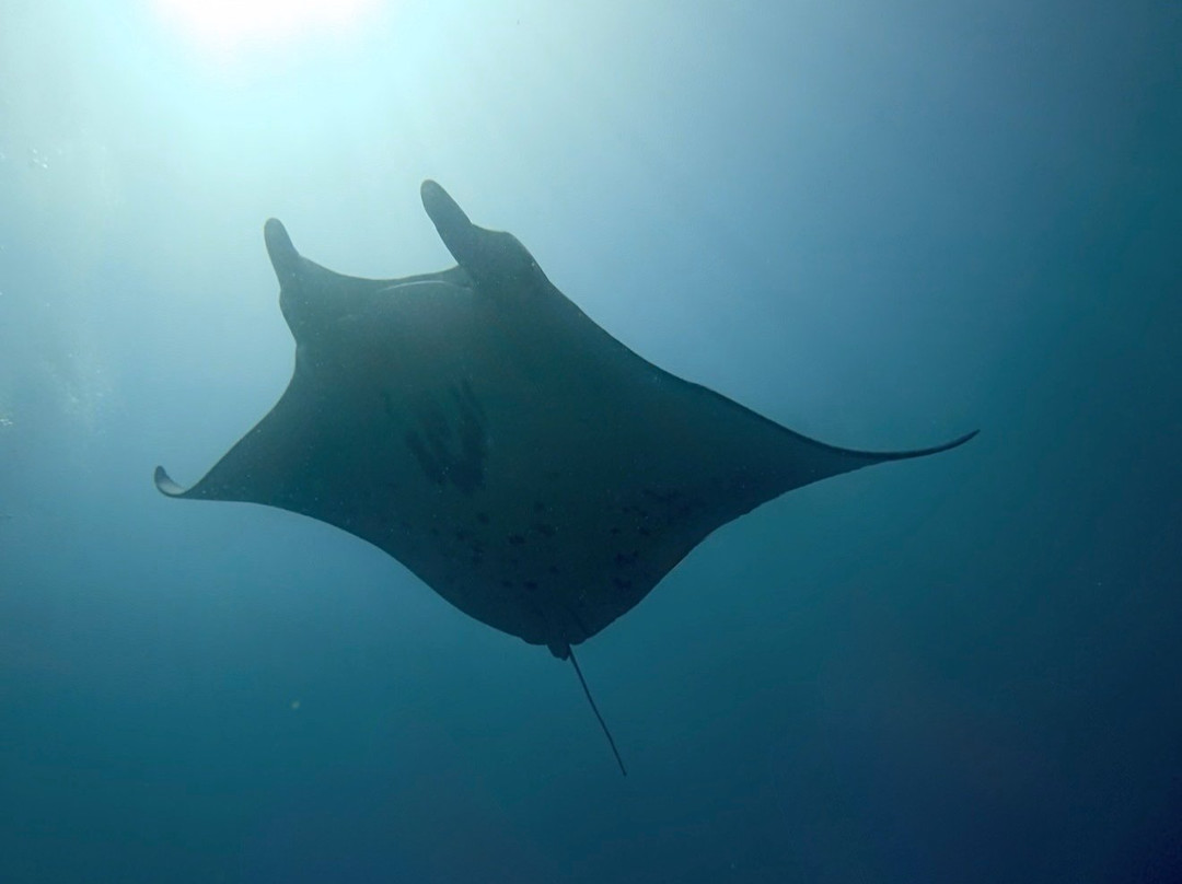 Euro-Divers Club Med Kani-卡尼翡诺岛必去景点