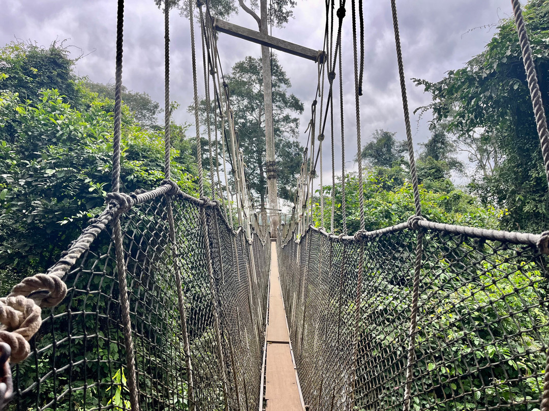 Kakum National Park-Cape Coast必去景点