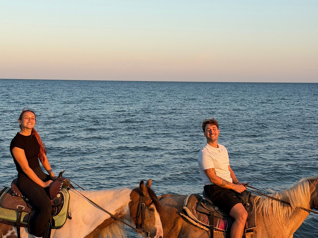 Family Horses 373-5361953-Marina di Ginosa必去景点