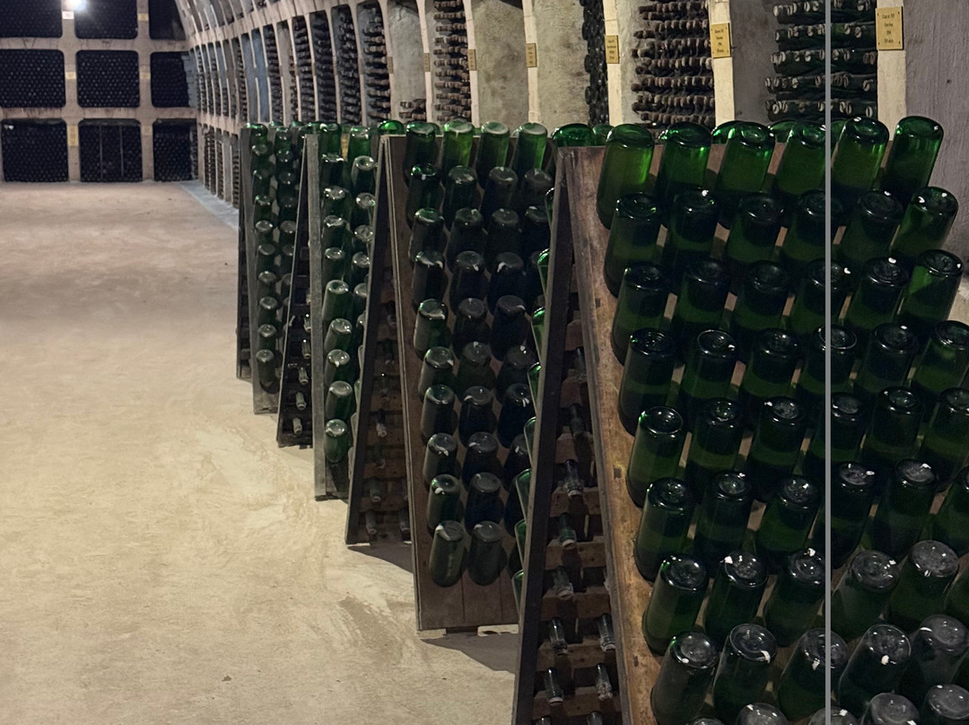 Mileștii Mici Winery-Milestii Mici必去景点