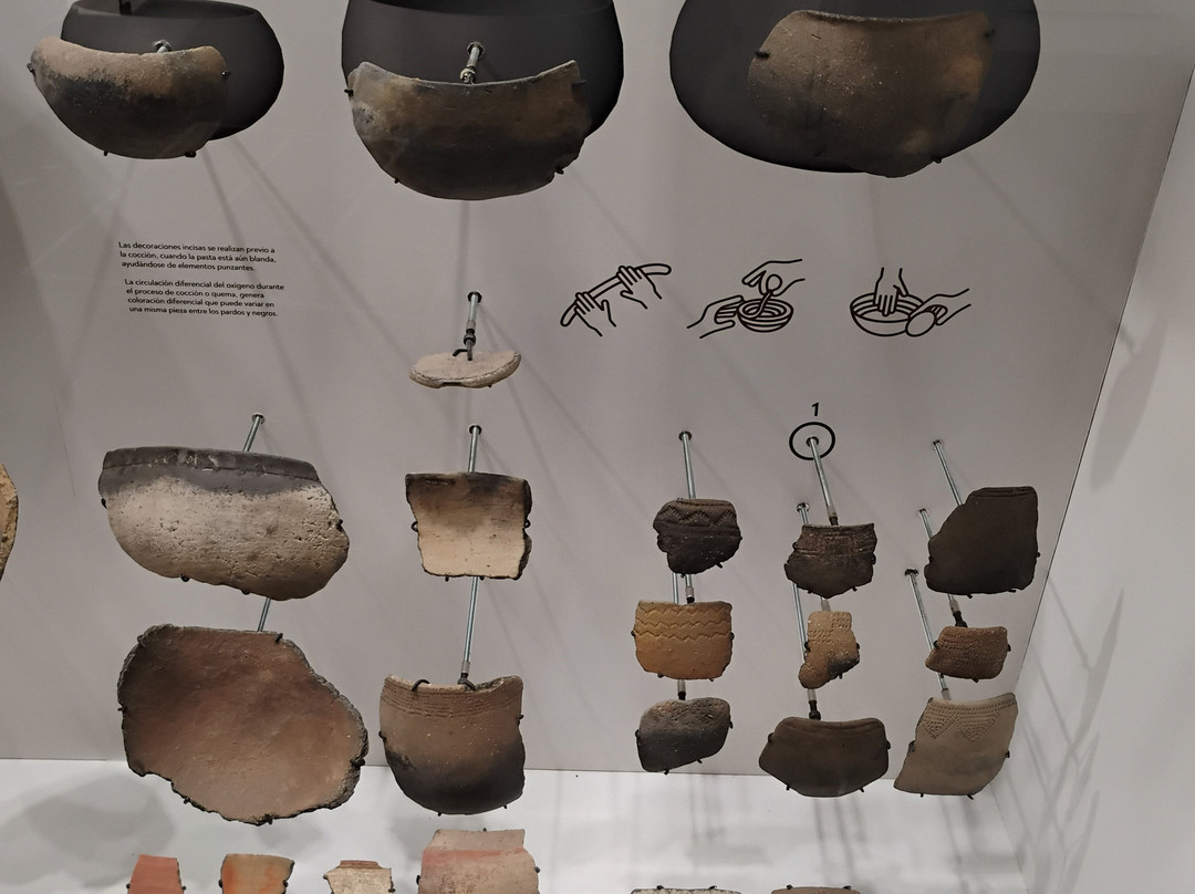 Museo Paleontologico-科洛尼亚·德尔萨克拉门托城必去景点