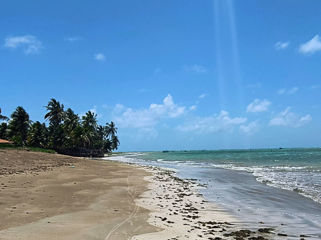 Riacho Beach-Sao Miguel dos Milagres必去景点