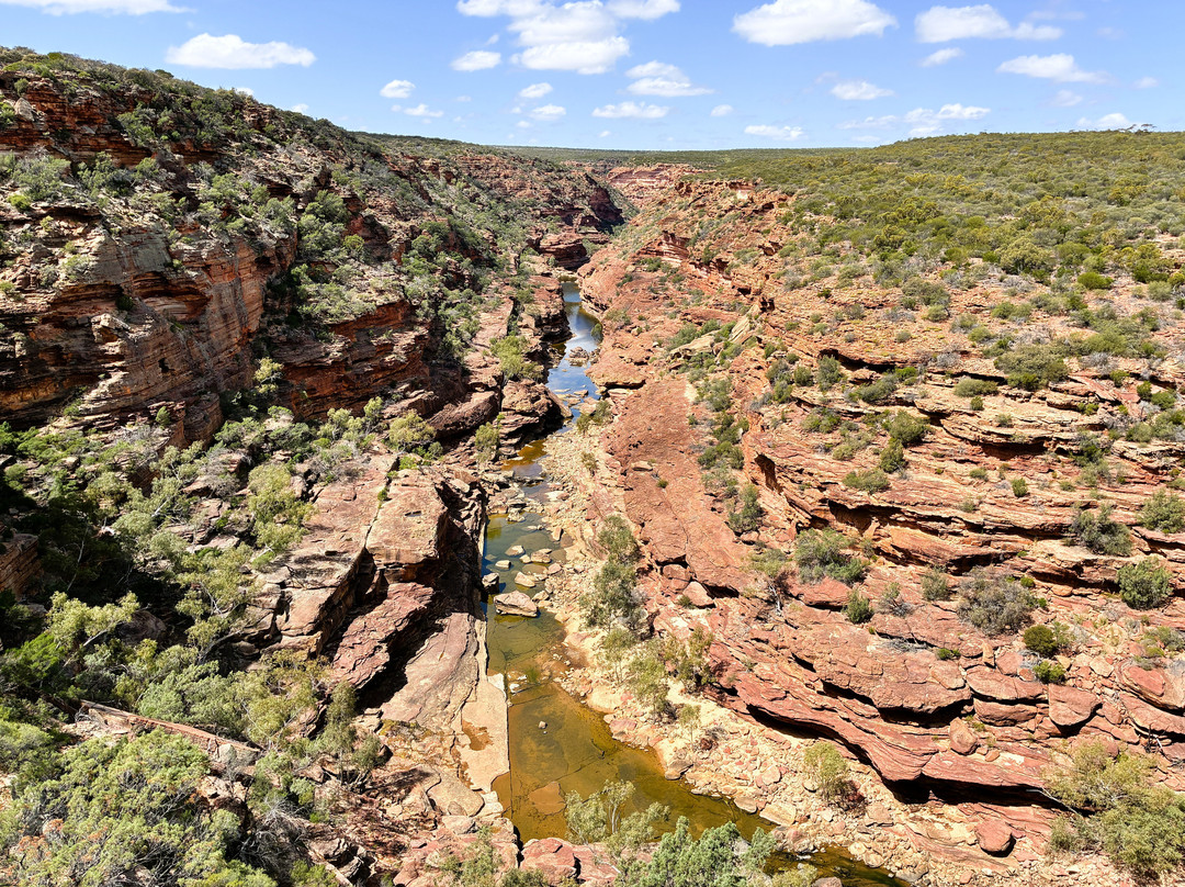 Kalbarri Skywalk