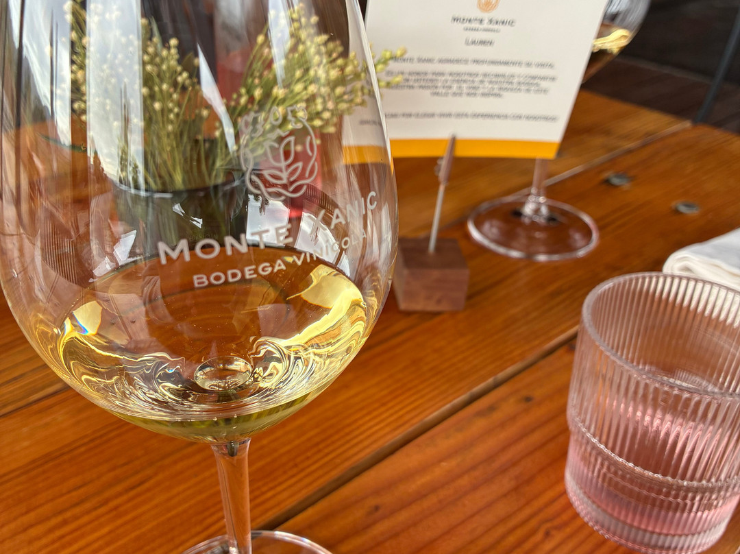 Monte Xanic Bodega Vinícola-Valle de Guadalupe必去景点
