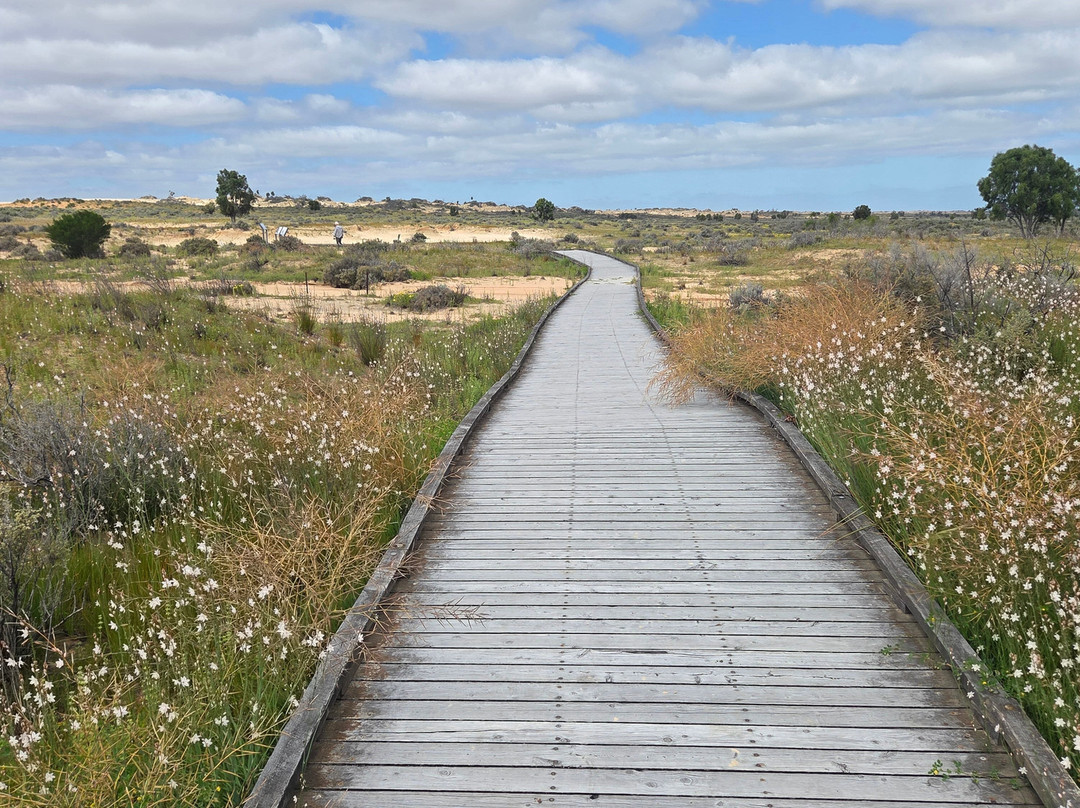 Mungo National Park-Balranald必去景点