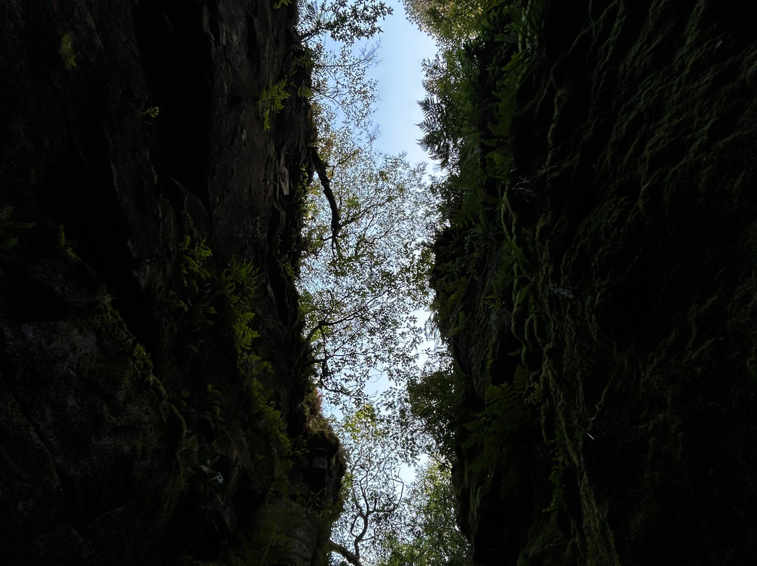 Lud's Church-Gradbach必去景点