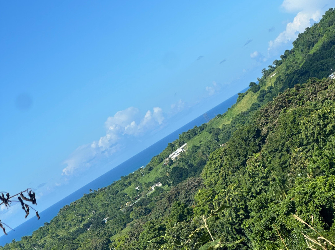Carabali Rainforest Park-Luquillo必去景点