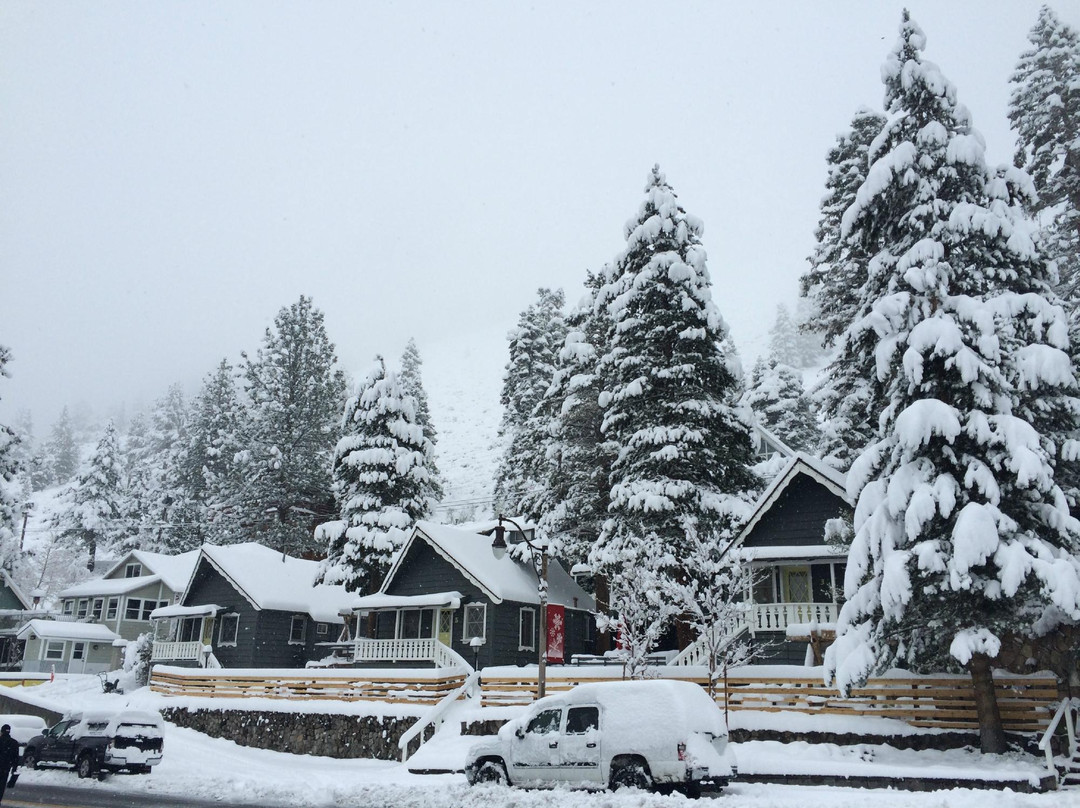 利韦宁酒店住宿-六月湖松树酒店