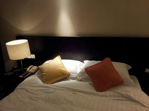 国际艺苑大酒店主图