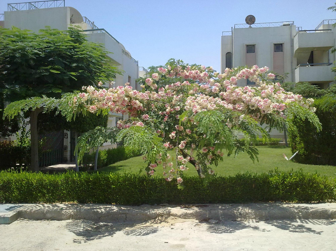 Creative Jet Beach Sokhna