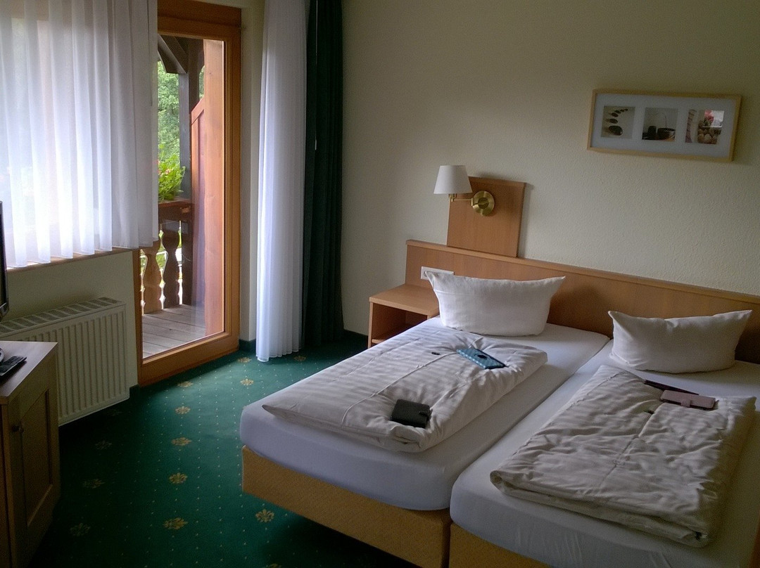 Hornberg酒店住宿-Landhaus Lauble