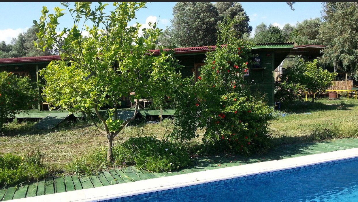 Sun Dalyan Hotel and Organic Farm-官方