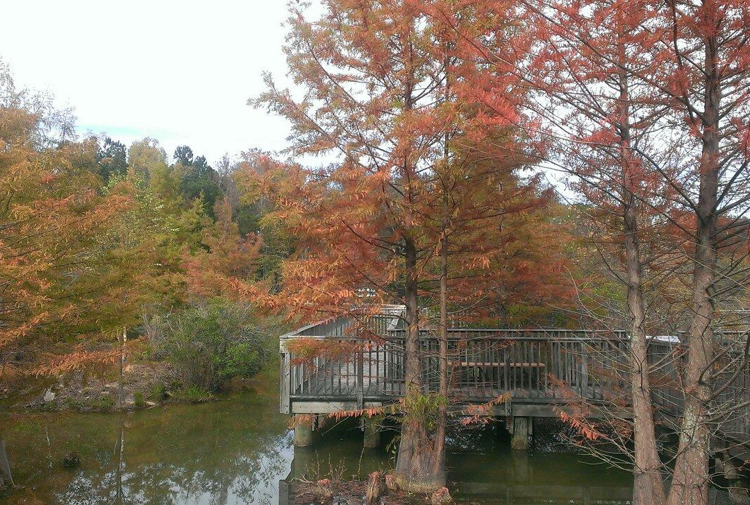 Warm Springs旅游景点-Warm Springs Regional Fisheries Center