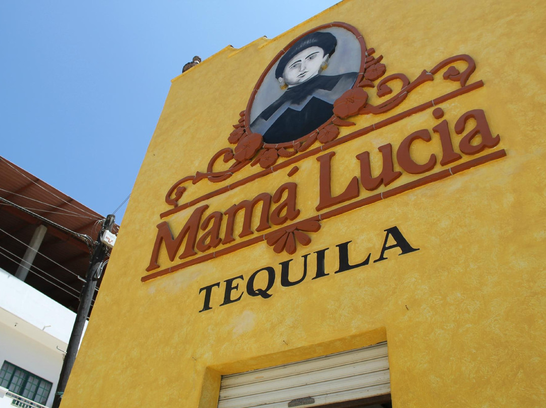 Tequila Mama Lucia景点图片