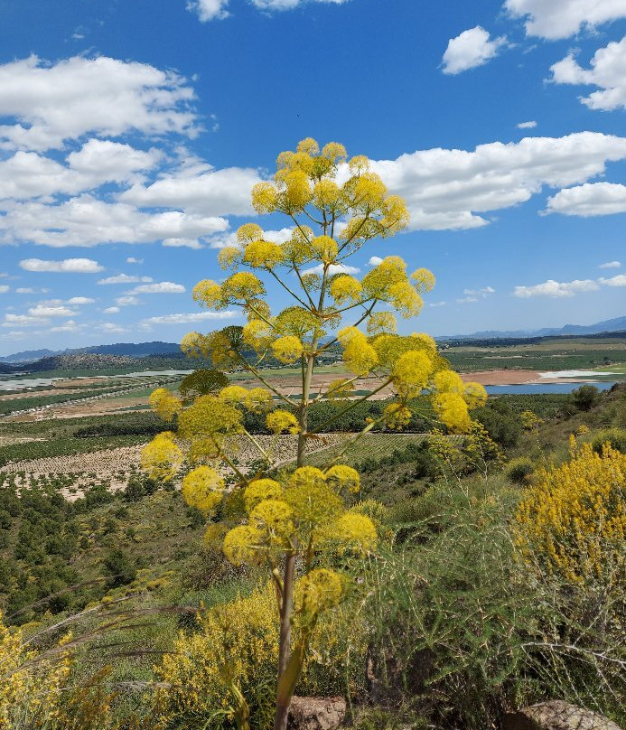 Piton Volcánico de Cancarix-Agramon必去景点