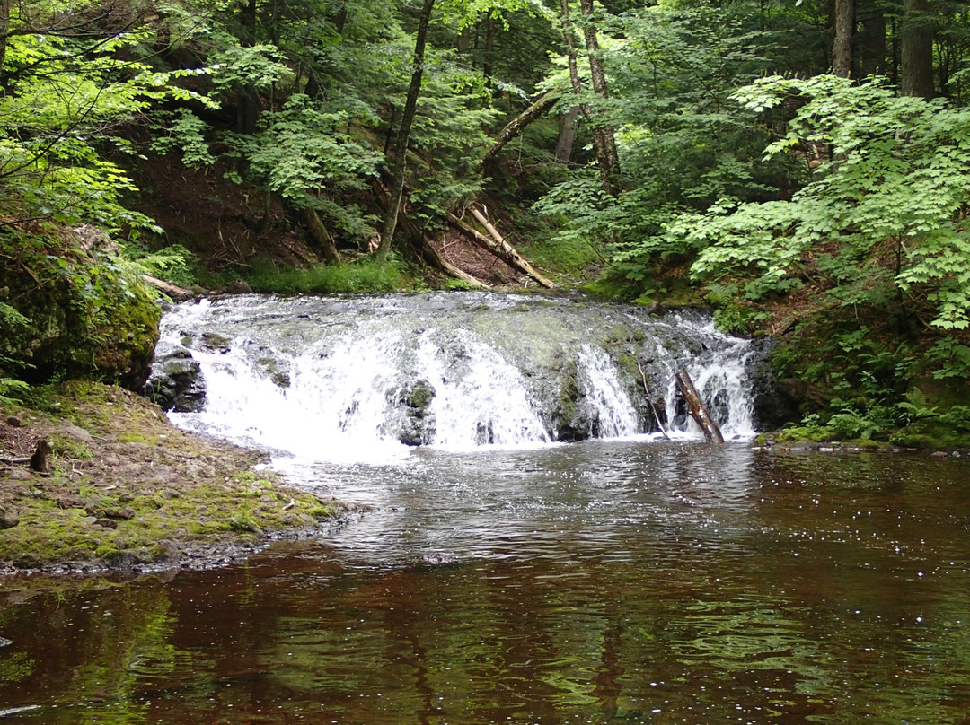 Little Carp River Trail景点图片