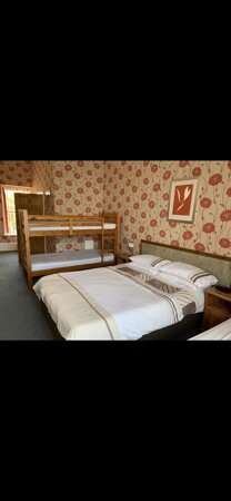 College Guest House-客卧