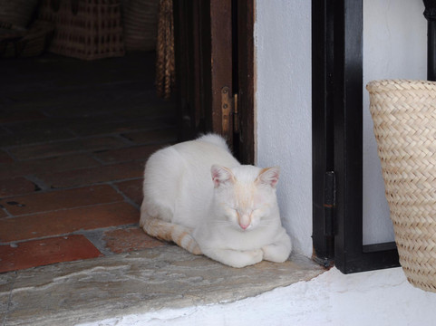 La Barca de Vejer旅游景点-Cesteria Tradicional