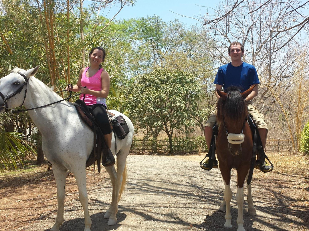 Costa Rica Equestrian Vacations - Day Programs景点图片