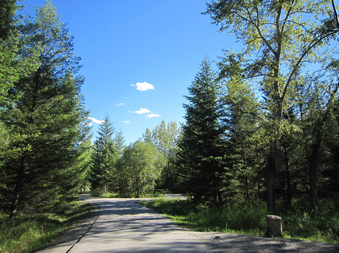 Boundary Creek Provincial Park景点图片