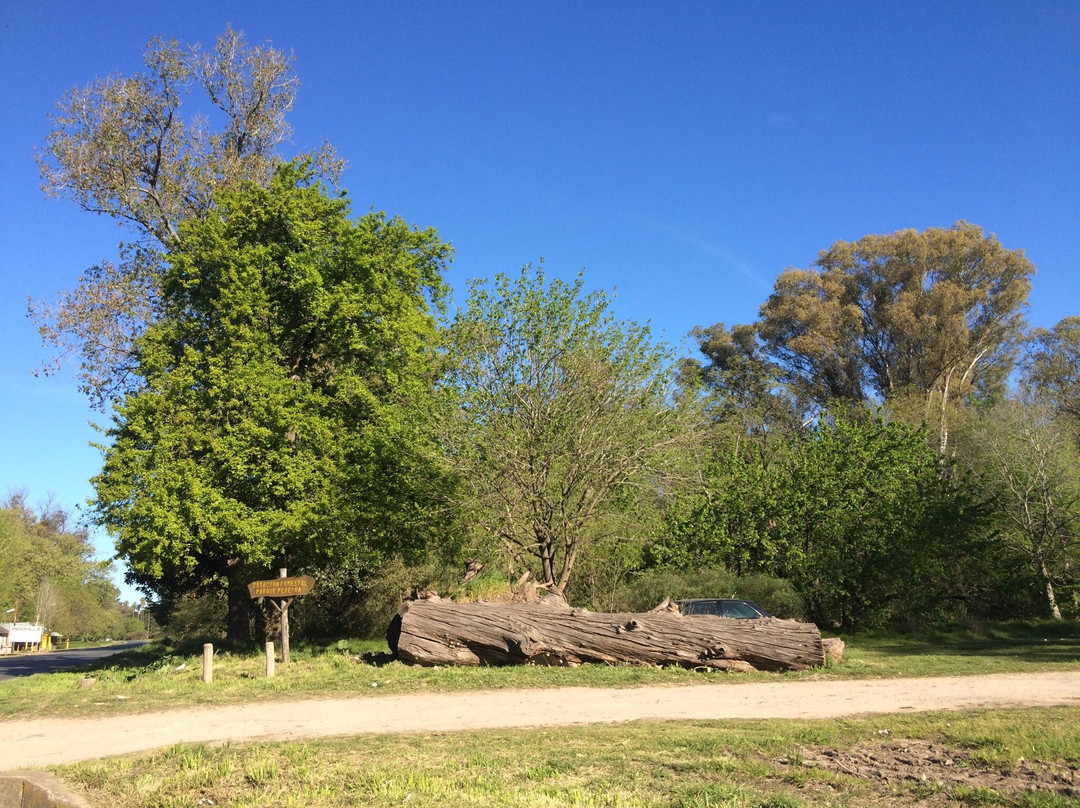 Villa Elisa旅游景点-Parque Pereyra Iraola