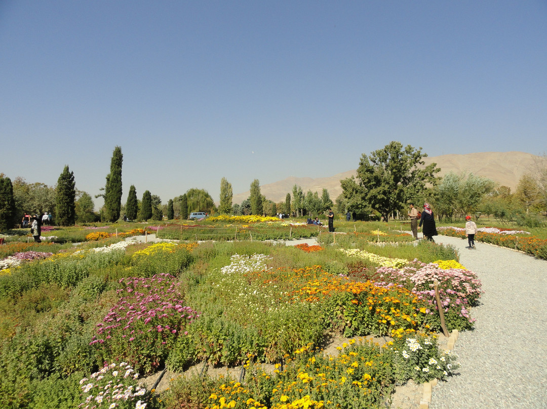 National Botanical Garden景点图片