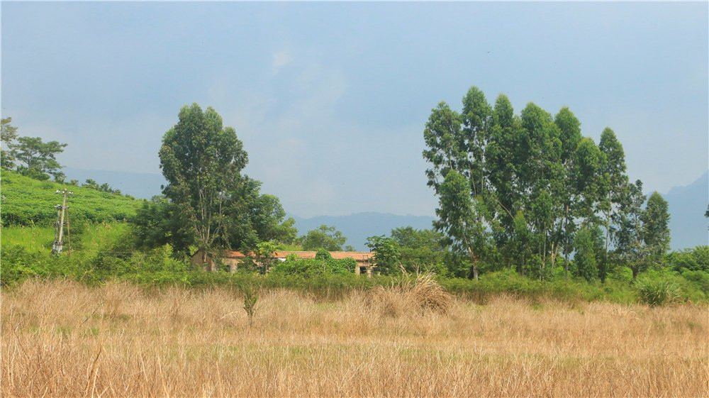 俄贤岭-东方市必去景点