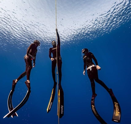 Freedom Diving Center-拉纳加必去景点