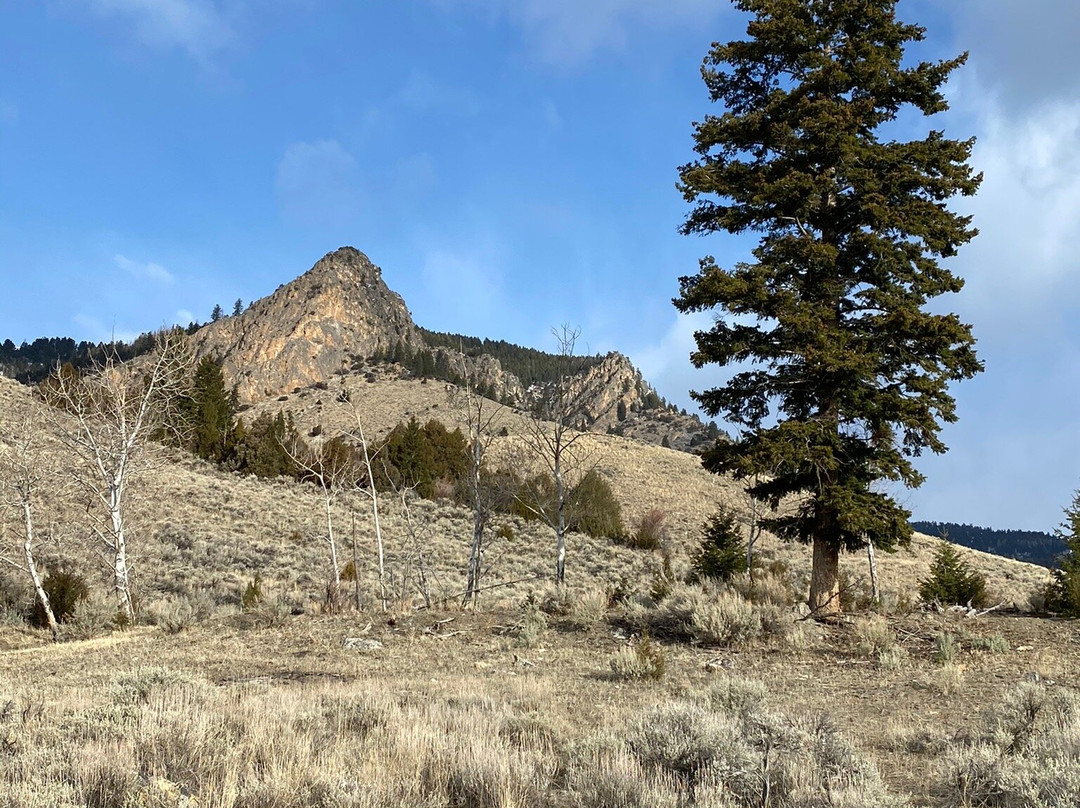 Twin Peaks Guest Ranch