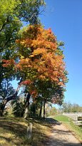 Delaware and Raritan Canal State Park-新泽西必去景点