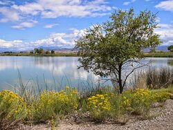 Sweitzer Lake State Park景点图片