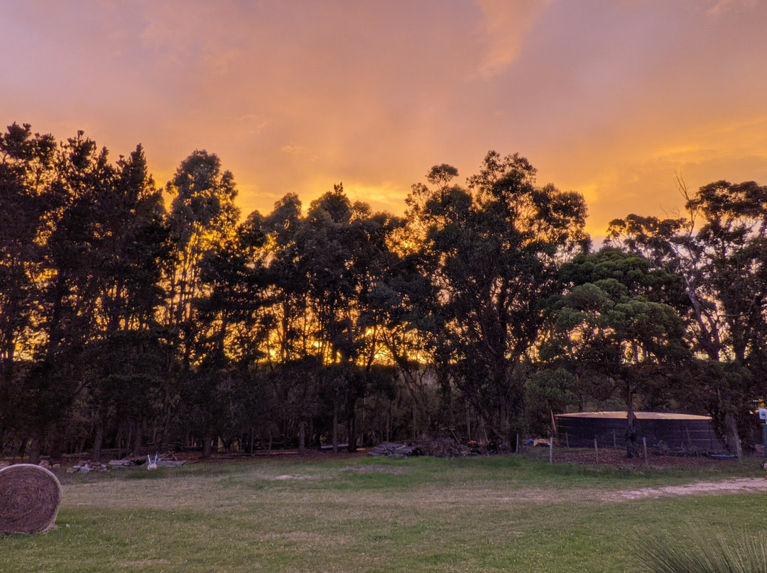 Barn Hives Yallingup